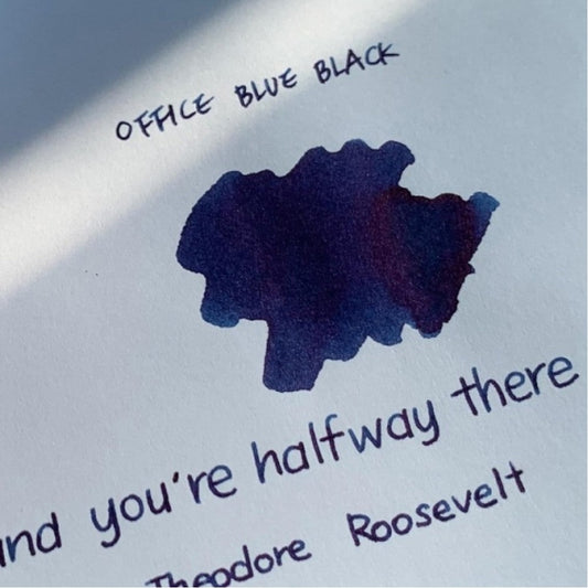 Colorverse | Office Series | Fountain Pen Ink | Blue and Black Bottle | 30ml - penpencilink