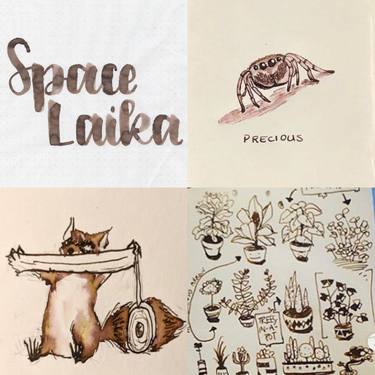 Colorverse Fountain Pen Ink | Spaceward Series | Space Laika | Dark Brown | 65ml & 15ml | 2 Bottle Set