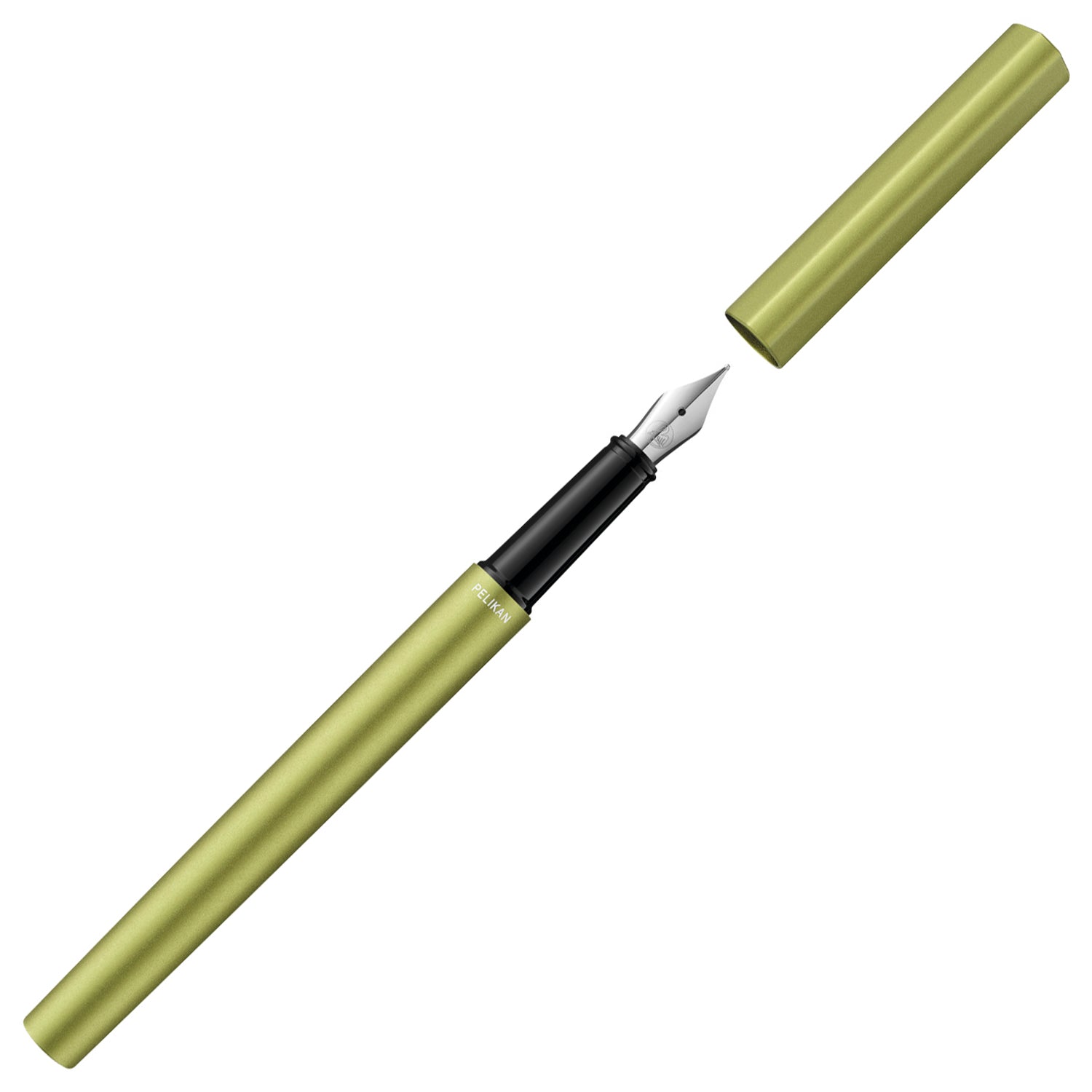 Pelikan Ineo P6 Green Oasis Fountain Pen