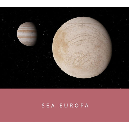 Colorverse Ink | Spaceward Series | Sea Europa | Red | 65ml & 15ml | 2 Bottle Set - penpencilink