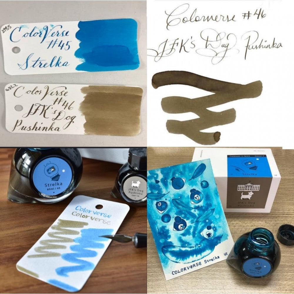 Colorverse Ink | Trailblazer In Space | Strelka | Blue | 65ml & 15ml | 2 Bottle Set - penpencilink