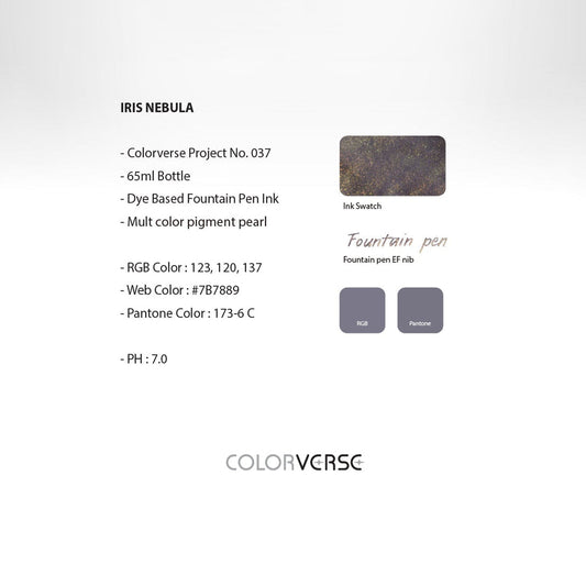 Colorverse | Gray | Fountain Pen Bottled Ink | Project ink | Iris Nebula Glistening- 65ml.
