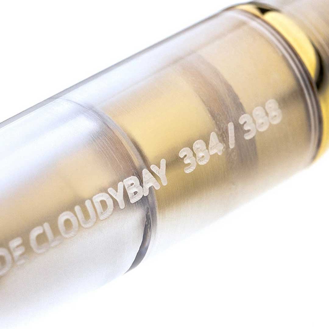 Penlux | Masterpiece Grande | Fountain Pen | Cloudy Bay | Clear Gold Trims | Piston Filling